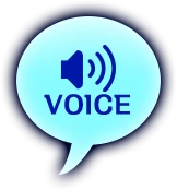 VOICE